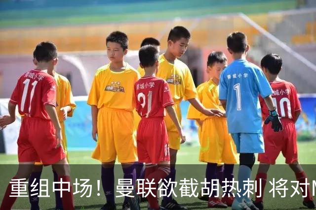 重组中场！曼联欲截胡热刺 将对M·费尔南德斯开高额报价